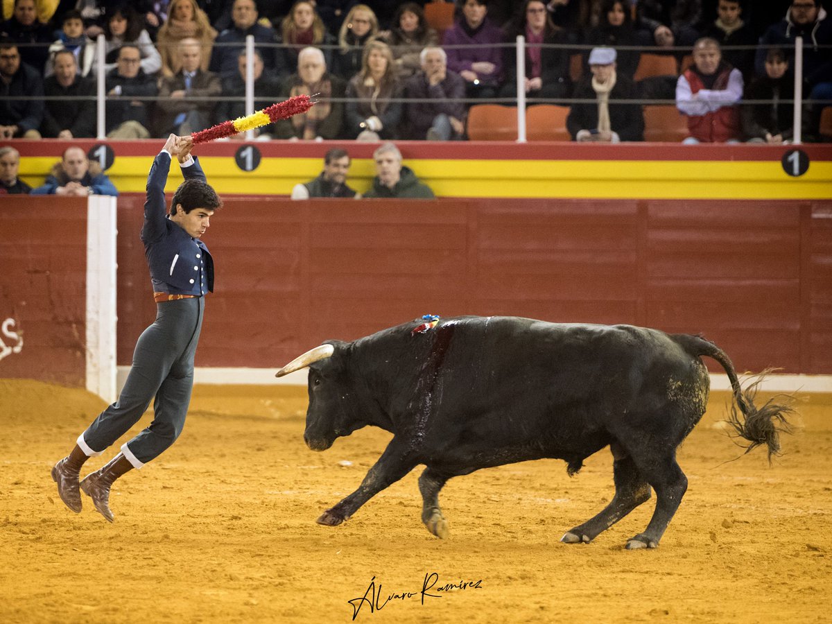 "Por Bandera"
📸: <a href="/alvaroramirezdc/">Álvaro Ramírez 📸</a> - <a href="/burladerotv/">Burladero</a>
😀: <a href="/Pablo_Aguado/">Pablo Aguado</a>
🐃: Fernando Peña

#PabloAguado #Illescas #Toros #Bullfight #Bullfighting #InstaGoodMyPhoto #InstaPhoto #PicOfTheDay #PhotoOfTheDay #Photography #Camera #Light #Nikon