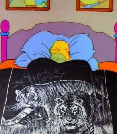 PowerMexa's tweet photo. Con estos fríos apenas uno así como Homero 🐅 https://t.co/Dfg97379Md