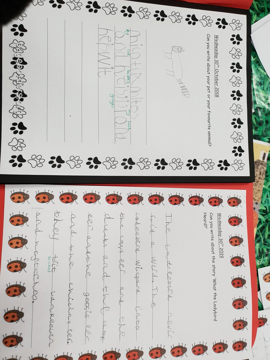I just can't believe how much progress the children have made since September @hartsholmeacad Independent writing today was just WOW! #readwriteinc #EyTalking ✏️ #whattheladybirdheard 🐞