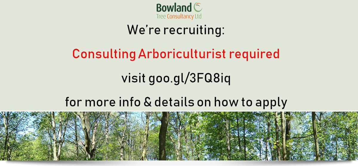 We are looking for a Consulting Arboriculturist to join our growing team in Preston - you can find out more here: goo.gl/3FQ8iq  if you know anyone who might be interested pass it on! #trees #arboriculture #tree