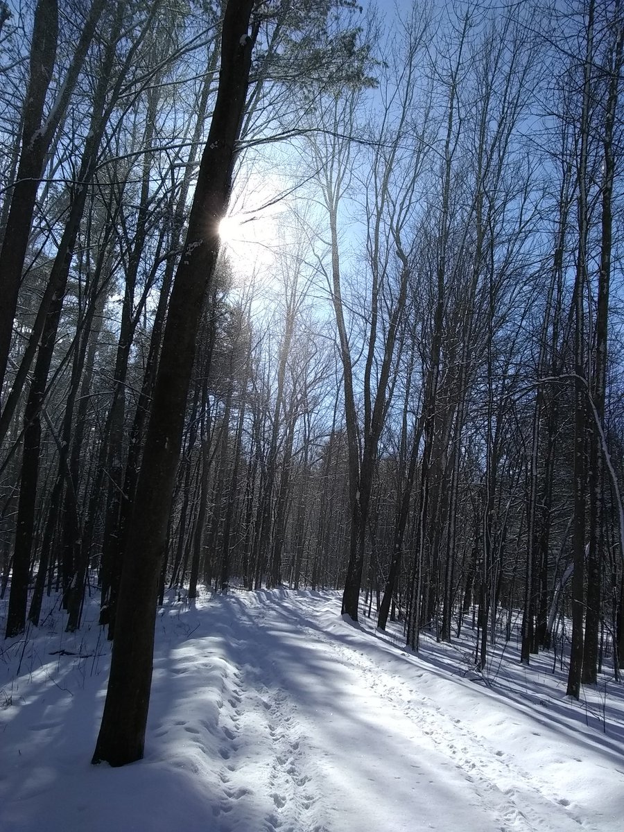 Dandeliondirtrd's tweet photo. .@SeanMParker @HaleyBouleyWX @TorranceGaucher @AmandaWeather We must be in a lull! Shoveled off my car, then the sun came out for a walk before work. #TYBJ #Colchester #Vermont https://t.co/CI2jaWIb4A