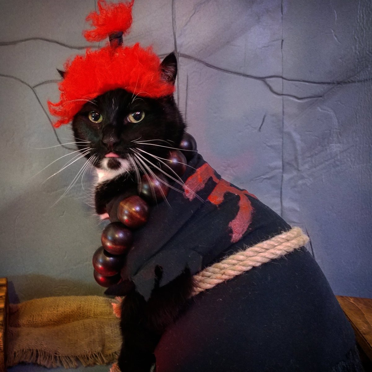 Cat_Cosplay's tweet photo. "My name is Akuma! The Master of Bleps!"

#StreetFighter https://t.co/yos8MvvQjk