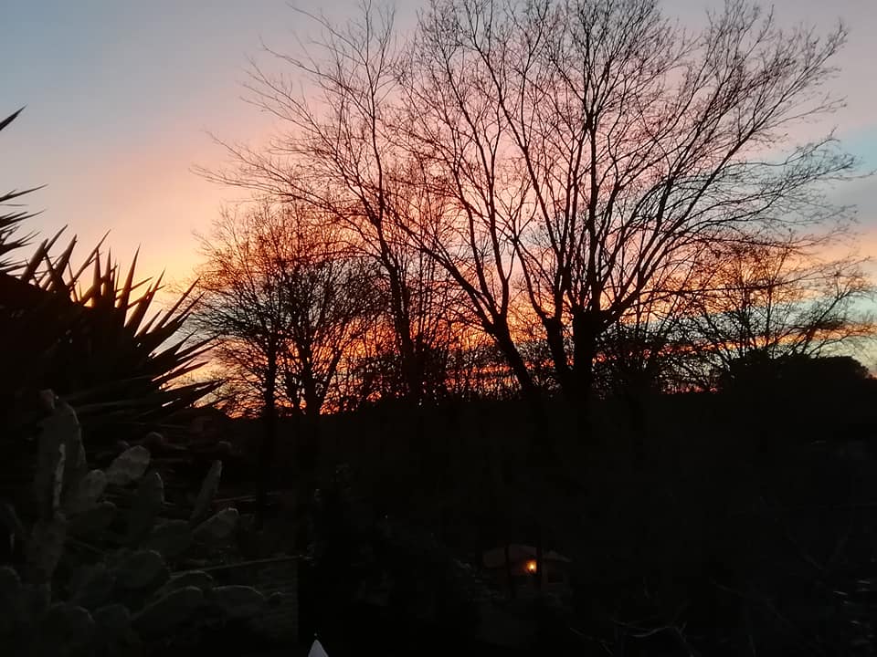 corrierediargo's tweet photo. io vivo qui, vi racconterò come un bosco si lega alla poesia
Sabato 2 febbraio alle 16 Giardino Parioli - FiordiLibri 
Via Antonio Bertoloni 3b, Roma https://t.co/Gj0gkWBFPA