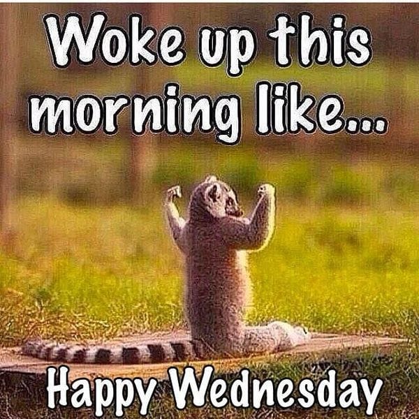LisaKCourtney's tweet photo. Happy Wednesday!!! Hope you are standing in your power...sending Love 😘😘😘
 https://t.co/I9axtBg02U#loveyourself #family #friendship #friends #kindness #mindfulness #love #selfhelp #compassion #dreams #tarot #psychic #psychic readings #peace #positivity #choice #magic #balance https://t.co/hqsDUduvkc