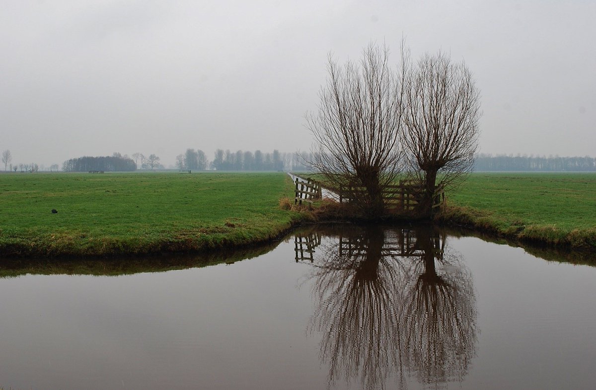 padt005's tweet image. Geen sneeuw hier op 30 Jan.  Gr, Ed van der Padt.