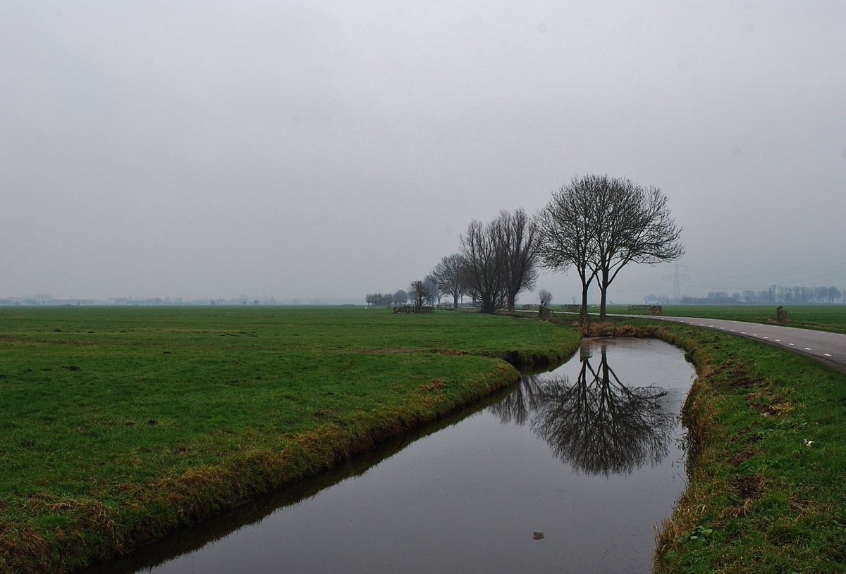 padt005's tweet image. Geen sneeuw hier op 30 Jan.  Gr, Ed van der Padt.