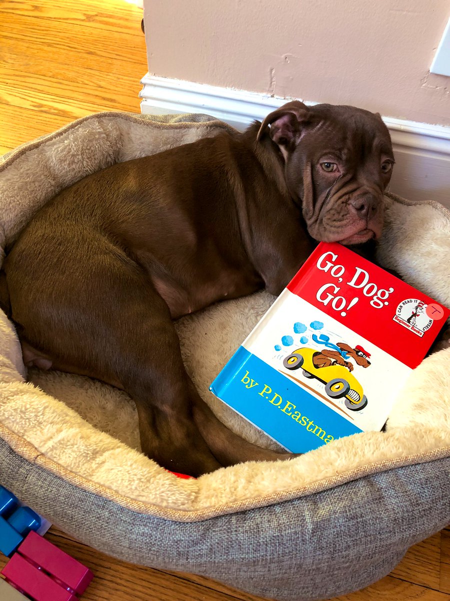 DrLauraFerrell's tweet photo. #olhms ... what are you doing on this very chilly #snowday ? #teamferrell is curling up with a good book.  Post your pics using the hashtags above 🥶 https://t.co/Mit8glBIRI