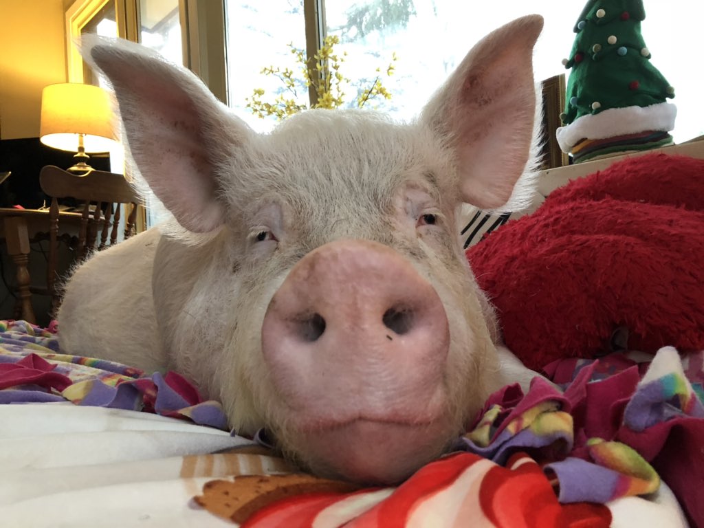 To anybody out there who might be feeling a little bit lost, I hope you know you’re not alone, and that there is help available for you. Don’t be ashamed of yourself, or too proud to ask for help. There’s no shame in needing a helping hand sometimes. #BellLetsTalk #EndTheStigma