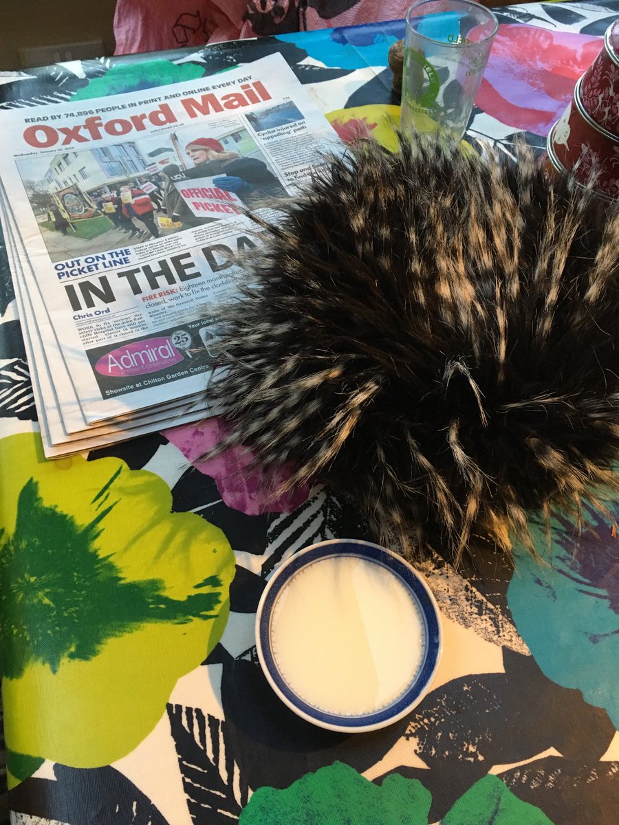 UCUSOUTHWEST's tweet photo. Jeannie the chair at AWC wishes to tell you all that her now famous ‘cat hat’ which appeared in Oxford Mail is exhausted after 2,days Picketing and is now enjoying a bowl of fortified milk https://t.co/5JJLoIh42P