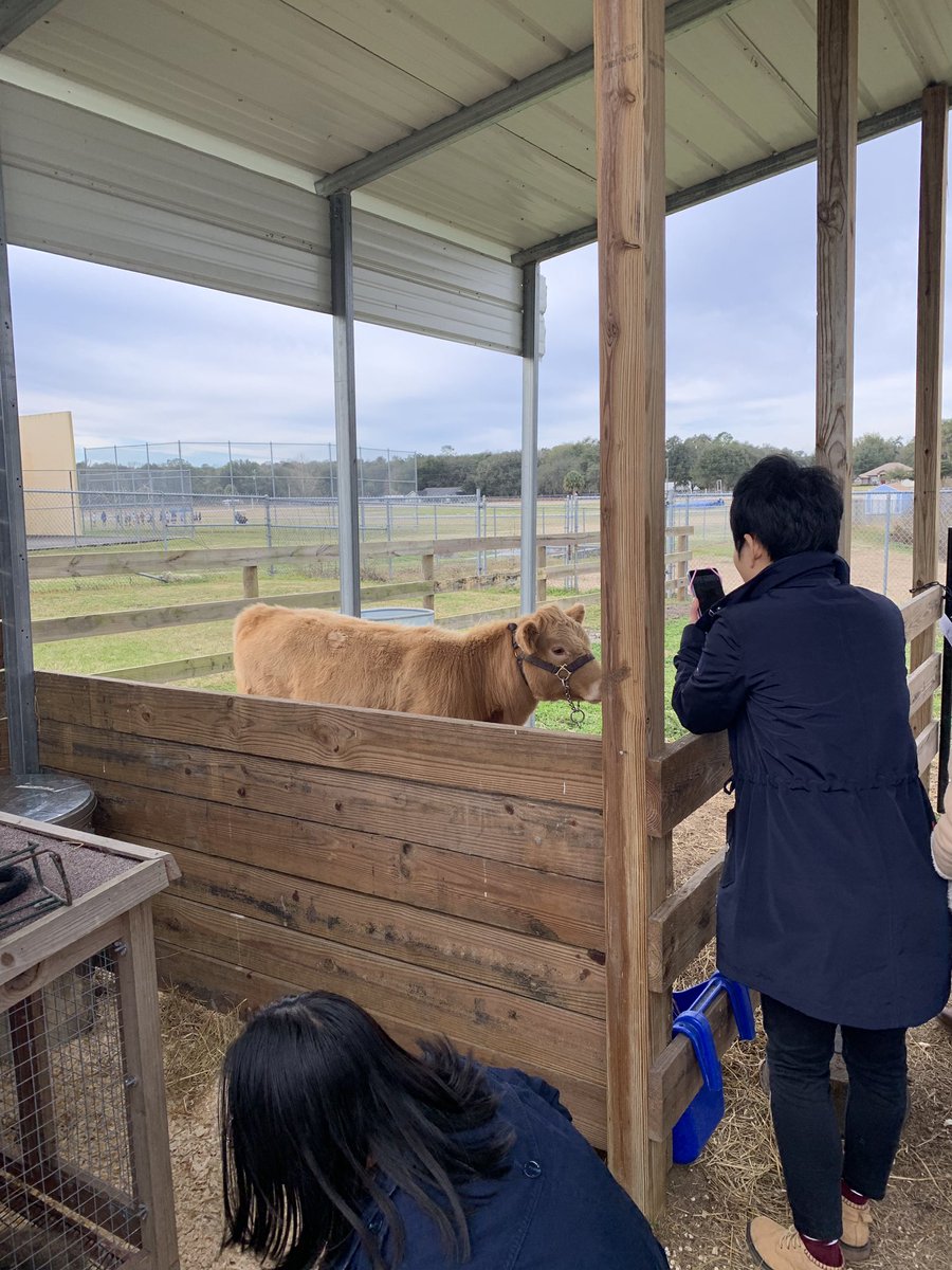 BMSPantherPride's tweet photo. Visiting the animals #BMSFFA https://t.co/aVyPxTP9O2