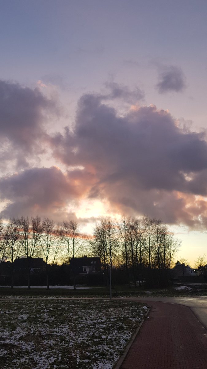 freckledaisy's tweet photo. Rondje met het hondje #Goes #Mannee #sunset https://t.co/eE9eaf8qlO
