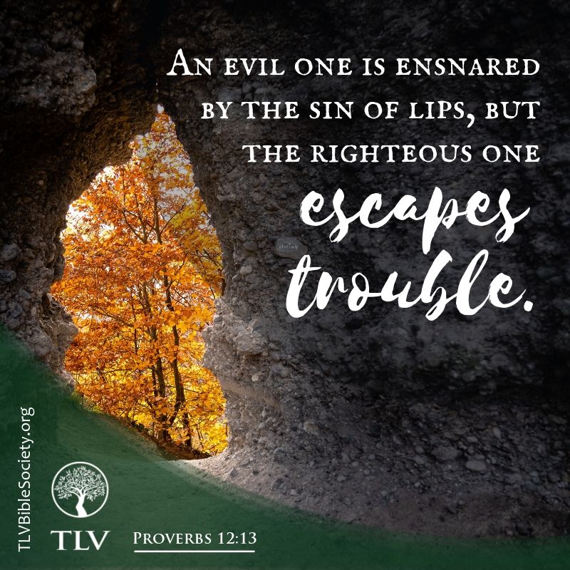 TLVBible's tweet photo. An evil one is ensnared by the sin of lips,
but the righteous one escapes trouble.
Proverbs 12:13 TLV
#TLVBible #TLVverseoftheday #TLVProverbs
#trustinGod https://t.co/N2lJjCtWgT