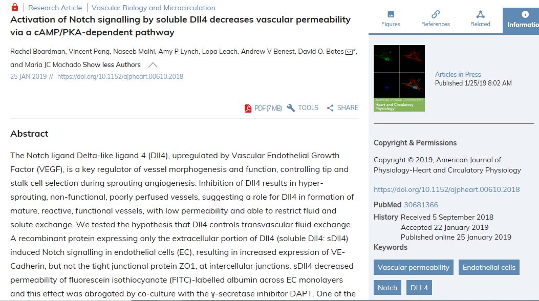 ajpheartcirc's tweet photo. #ArticlesInPress Activation of Notch signalling by soluble Dll4 decreases vascular permeability via a cAMP/PKA-dependent pathway https://t.co/3urinT9PB3 
@UniofNottingham 

#DLL4 #notch #endothelialcells https://t.co/hQnO46mcWg