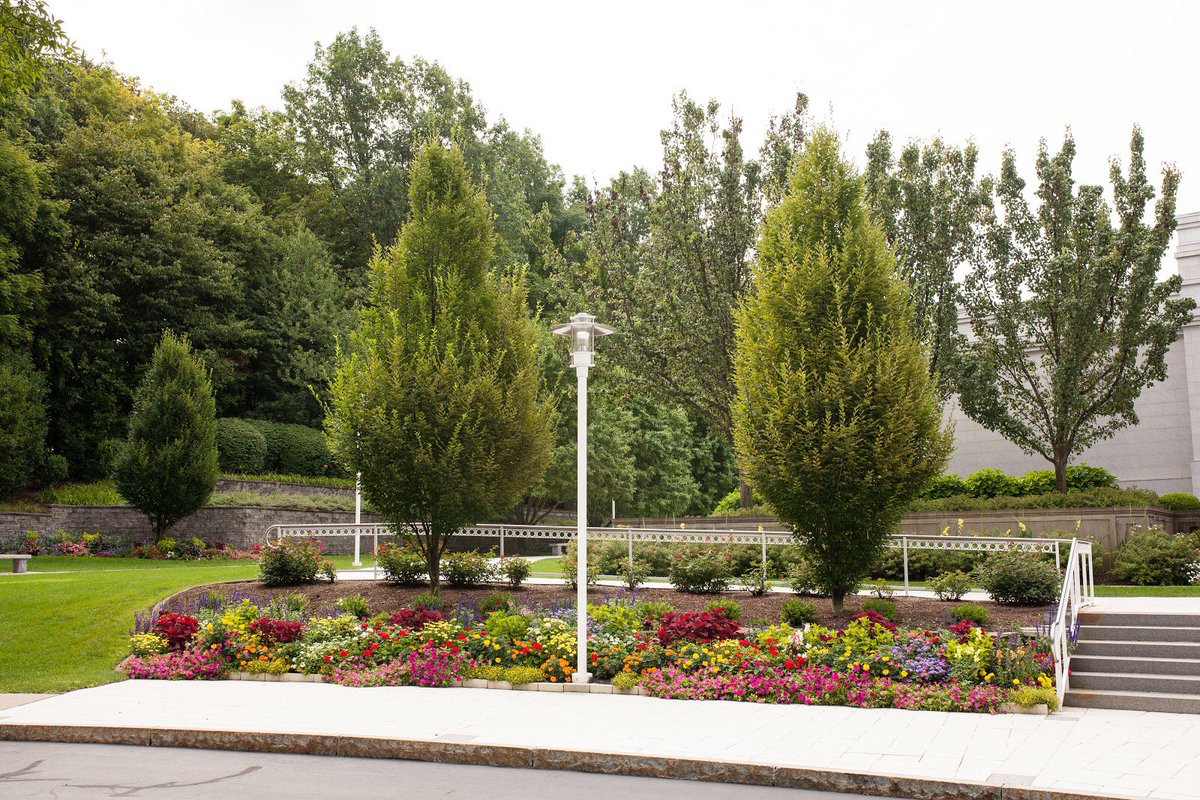 JoshLandscapeCo's tweet photo. The first impression your business makes matters. Read 3 tips on how to improve your business’ landscape here. 

https://t.co/zgwielREEr https://t.co/AcoSh2O6yI