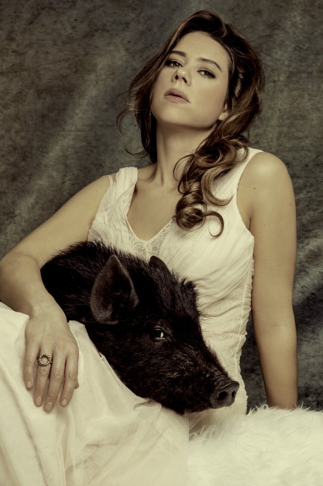 Show And Tell tweet media