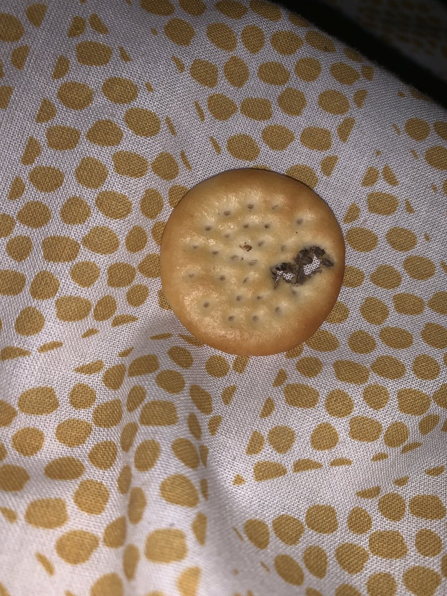 Ashley Lauren tweet media