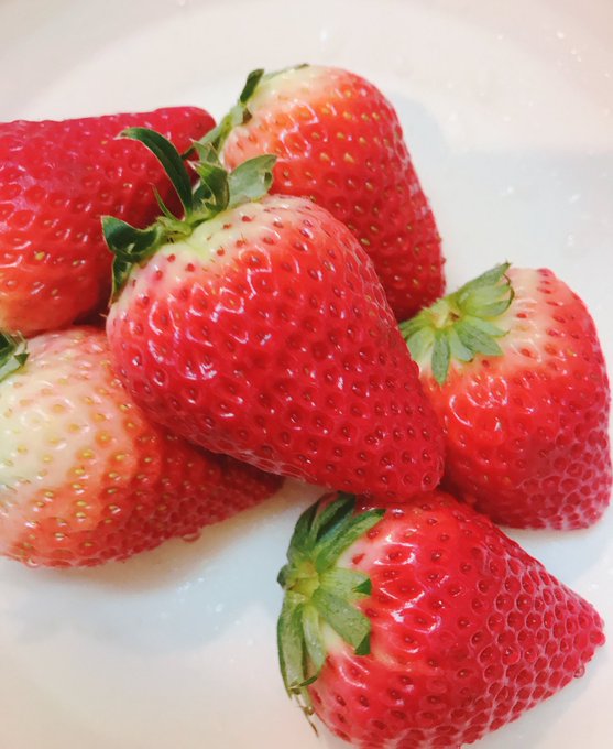 いちごおいしかた🍓 https://t.co/q0UNgVii14<a href="/tag/%E8%87%AA%E6%92%AE%E3%82%8A%E3%81%8A%E3%81%B0%E3%81%95%E3%82%93"class="tags"><span>#自撮りおばさん</span></a>