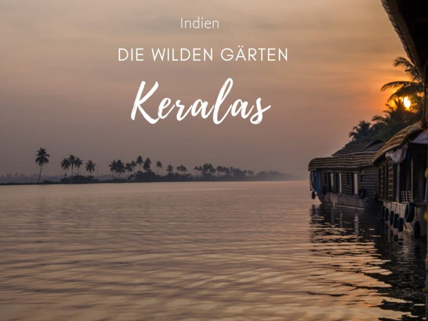 Das schönste an #kerala waren für mich die wilden #gärten #indien #namaste #backwaterskerala #naturbelassen #naturgarten pflanzenfrau.de/garten-kerala/