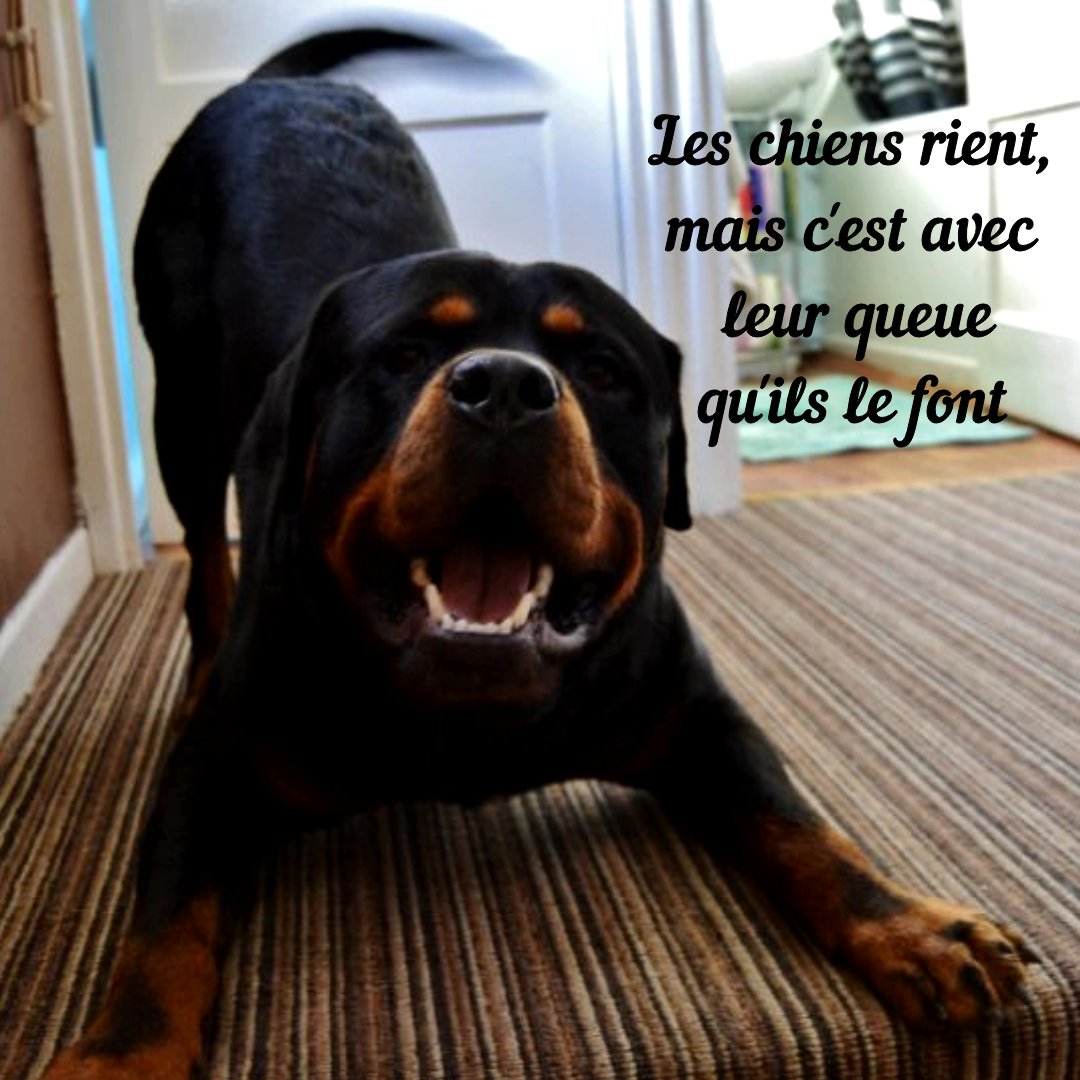 MergenEric tweet picture