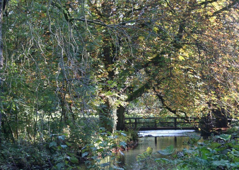 Sometimes you just need to drop everything &amp; escape from it all! The everyday grind can get you down &amp; you need to hit a reset button. 
With prices from just £125 per night, including fab 3 course dinner, it makes escape a practical &amp; affordable option!
ow.ly/8raC50k9aaQ