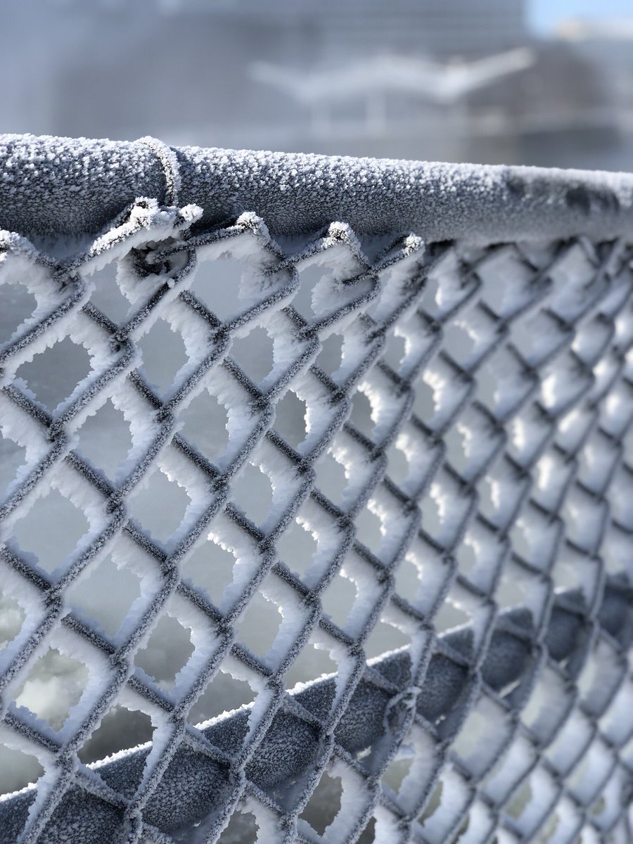 Rebeccashrode's tweet photo. Was crying while taking this (not really but you get it). Chain link fence at Seitz Park right by St. Joseph River. @ABC57News  #57DeepFreeze https://t.co/VTvh4nGmUm