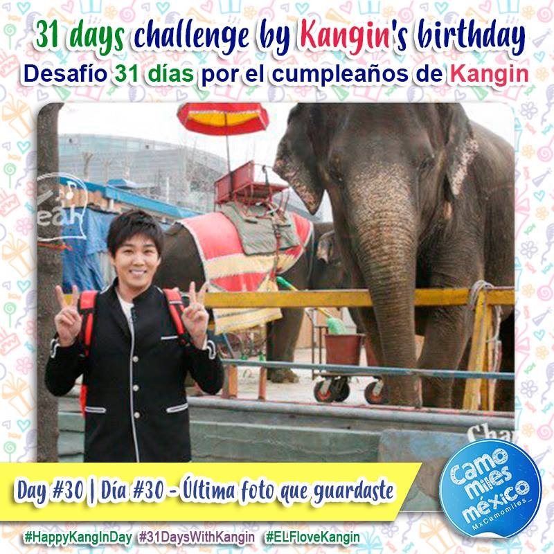 MxCamomiles_'s tweet photo. [Proyecto] Para celebrar el cumpleaños de #Kangin 2019, "Desafío 31 días por el cumpleaños de KangIn" 🦝🎂🥳🎉 190130 Día #30 - última foto que guardaste 🤩😍
#HappyKangInDay #31DaysWithKangin #ELFloveKangin
@Himsenkangin @SJofficial https://t.co/7xSDxAvjyi