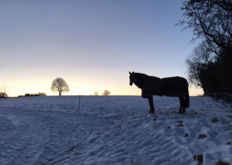 BakewellEquine's tweet photo. It’s a cold one ❄️❄️❄️ take care when out and about doing your horses!

#wintershere #prettythough #bakewellequine https://t.co/6EkIGj98ze