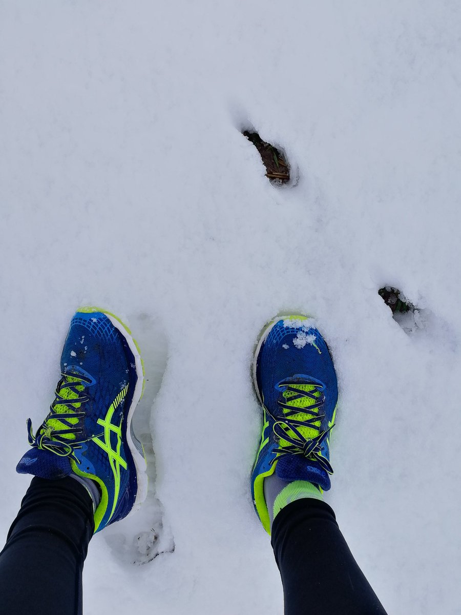 mcD300S's tweet photo. @Mau_ri_cette En pleine cambrousse 😉 
J'en veux pour preuve les traces d'un lièvre à ma droite 😂👉 https://t.co/9mlfuVIkGW