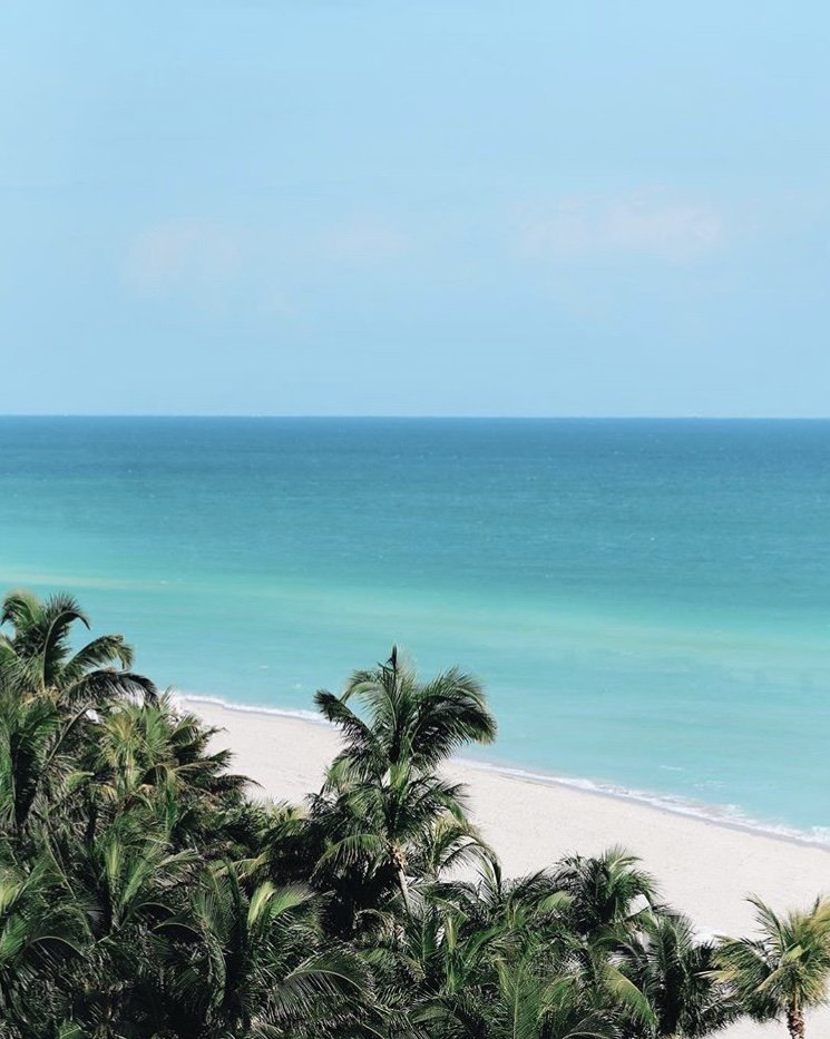 AmberSummerLtd's tweet photo. Woulnd't mind being deserted here. What about you?
📸 @SohoHouse
#AmberSummer #UnlockTheExcitement #tropical
#shadesofblue #views #love #beach #picoftheday #colours #luxurylife #beachside #beachsideview #seaview #sea #sand #beachlife #beachvibes #peaceofmind #waves #seawaves https://t.co/bkR9AmE6O1