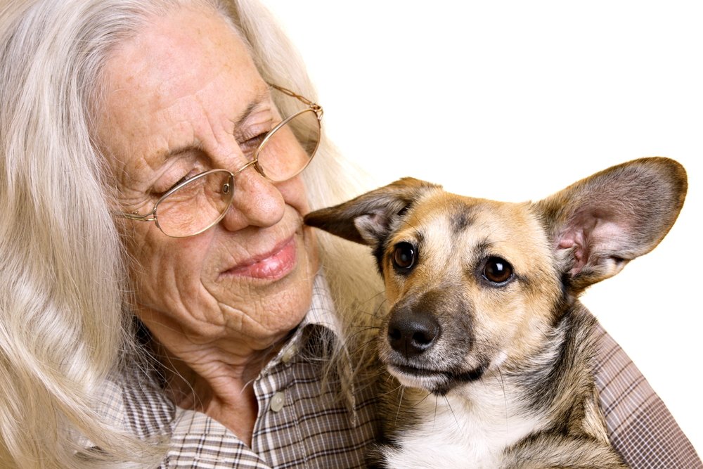 ReflectionsMC's tweet photo. There are a variety of health benefits that come with owning a pet as an elder adult!
Lowers blood pressure.
Reduces chances of depression and loneliness.
Promotes living in the present moment.
Increases mobility and independence.
Eases anxiety and pain. https://t.co/xS0JyOWfgx