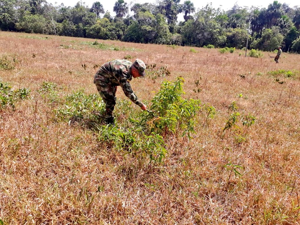 Ejercito_Div4's tweet photo. #SoldadosHorus @COL_EJERCITO de la #SéptimaBrigada, aportan al mejoramiento de fincas y parcelas de los campesinos en el municipio de Mesetas, #Meta, con jornadas ambientales y adecuación de terrenos para sus actividades agrícolas y ganaderas.
#HorusEsProgreso https://t.co/gy3QTh8tWB