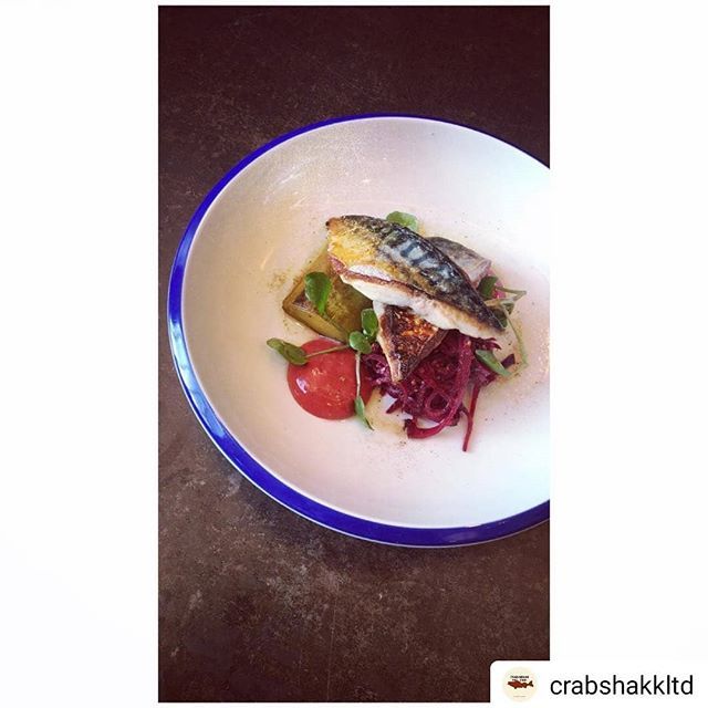 PS_Integrations's tweet image. Unbelievably good seafood matched only by the atmosphere in this compact and bustling reataurant #Repost @crabshakkltd
• • • • •
A riff on the weekend tune: mackerel with that lip-smacking beetroot aioli, charred leek, beetroot remoulade and a fairy sprinkling of celery …