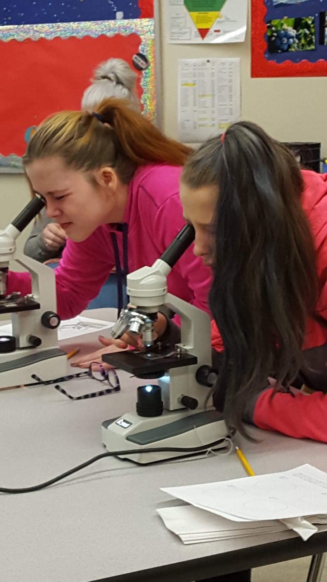MrsMelAnnThomas's tweet photo. Microscopic investigations of Room 105! #fultonraiders https://t.co/6tDHozh8nw