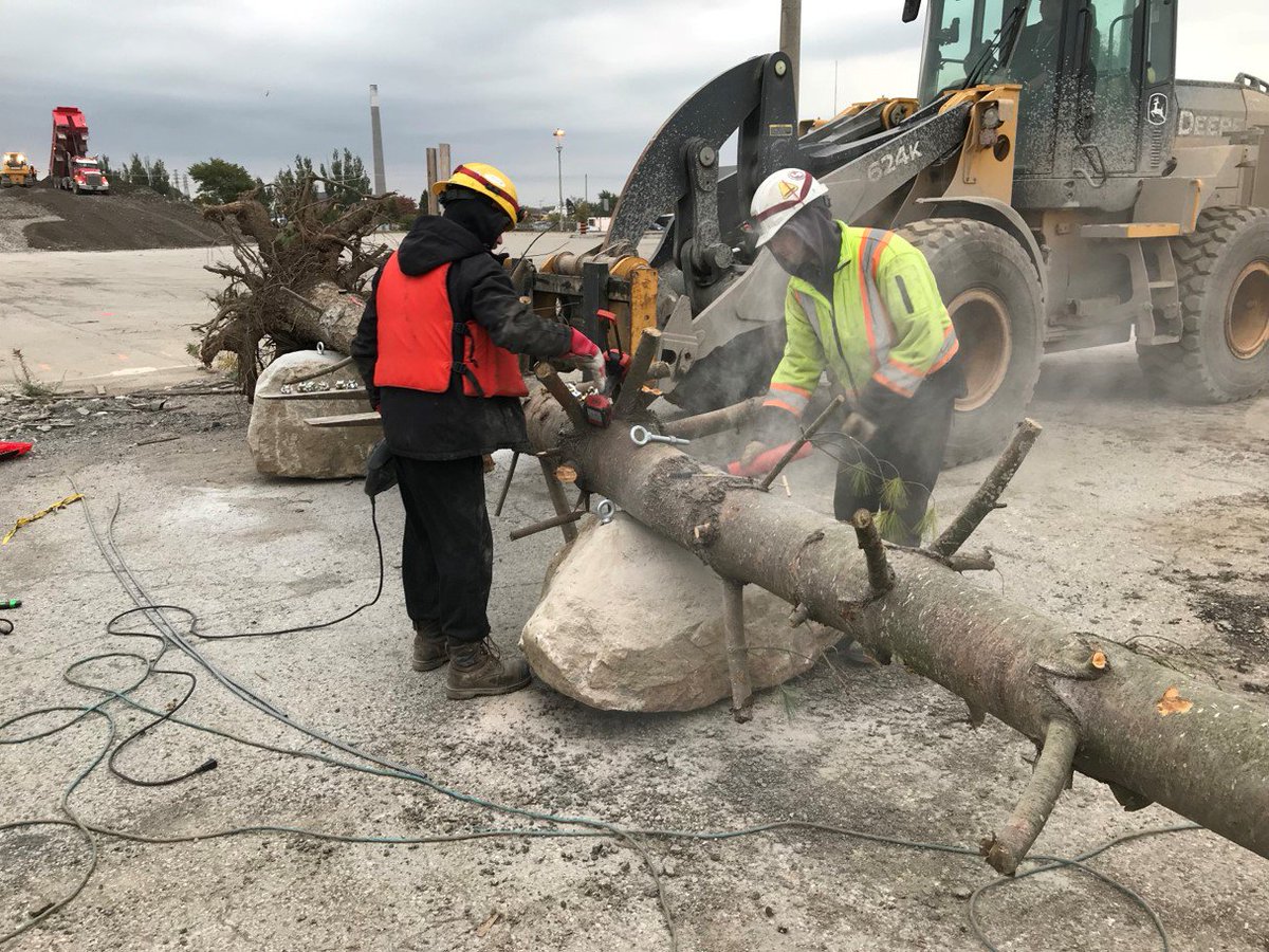 What does this log have to do with helping fish find new places to live, eat and breed? Find out how we’re bringing new habitats to the Port Lands:  goo.gl/xFRKZS