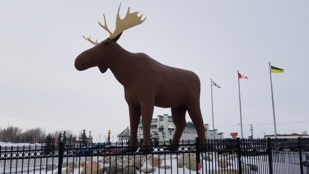 Mac the Moose getting a $25K boost
cbc.ca/news/canada/sa…