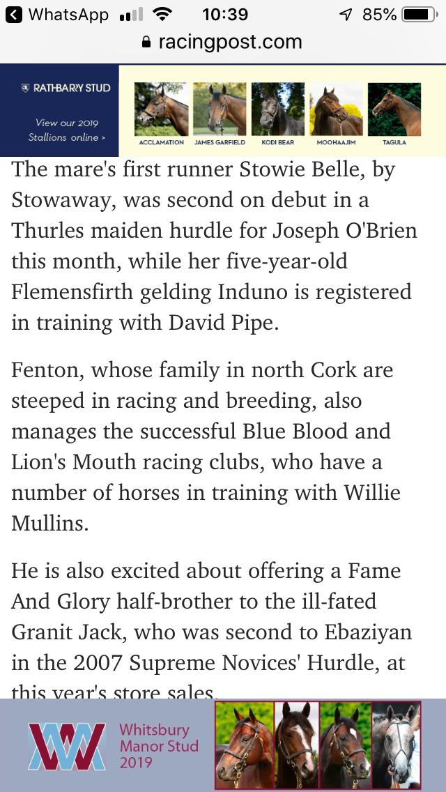 FENTON STRIKES!

<a href="/jamesfent/">James</a> was hard at work @tatts_ireland yesterday when securing a Walk In The Park colt out of multiple winner Vast Consumption and a Flemensfirth filly out of Dreams And Songs for new clients. Nice mention for our Fame and Glory half brother to Granit Jack.