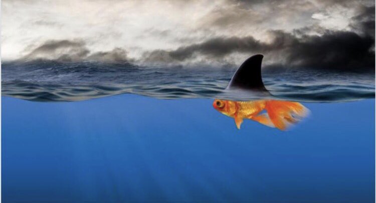 Sheryl (@shermor63) on Twitter photo Someone sent this to me yesterday & it resonated with me. Children often present with behaviours that look like a shark but if we look below the water we realize they are just scared goldfish trying to have a need met. Look for the goldfish. #tipoftheiceberg <a href="/kwiens62/">Kristin Wiens</a> Someone sent this to me yesterday & it resonated with me. Children often present with behaviours that look like a shark but if we look below the water we realize they are just scared goldfish trying to have a need met. Look for the goldfish. #tipoftheiceberg <a href="/kwiens62/">Kristin Wiens</a>