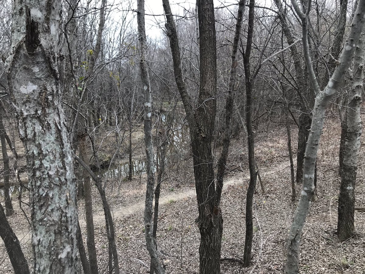 Site Visits are much better in January than they are in July!