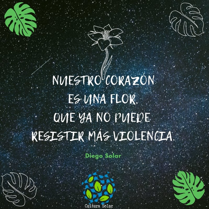 "NUESTRO CORAZÓN
ES UNA FLOR,
QUE YA NO PUEDE
RESISTIR MÁS VIOLENCIA"