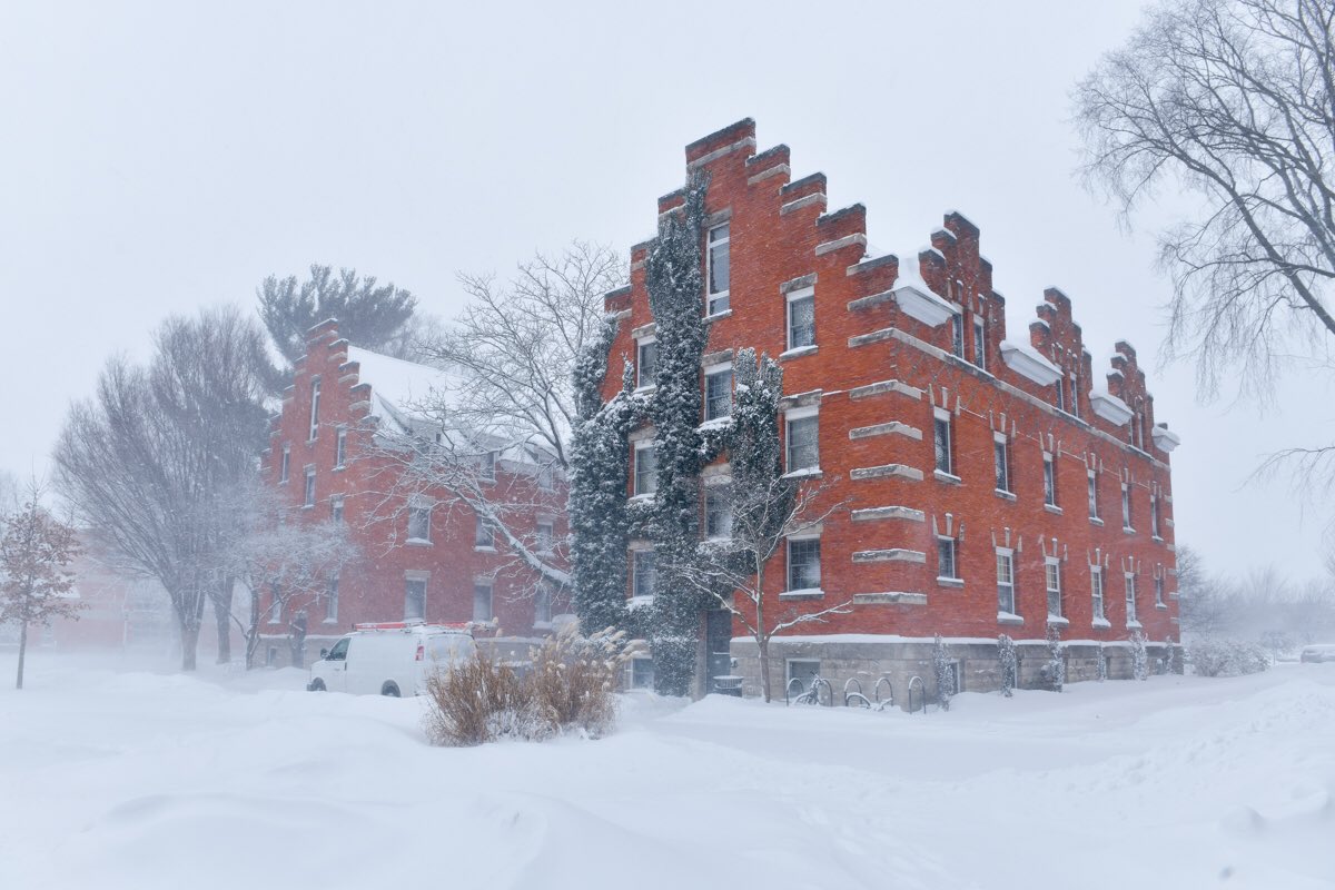 Picture perfect snow day! ❄️