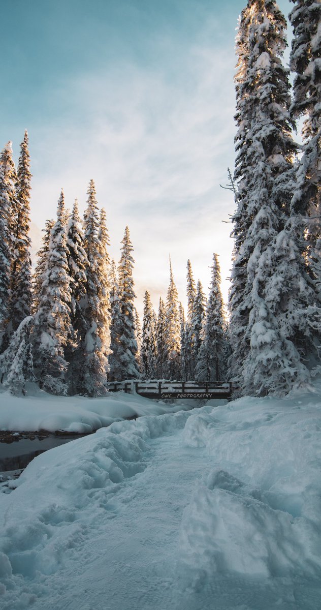 ColeCaptures's tweet photo. The beauty of @EmeraldLake_BC in the winter time❄️😍
.
.
.
.
.
.
#emeraldlake #banff #Alberta #winter #cold #WinterIsHere #Scenery #beautiful #WinterWonderland #Canada #travelphotography #explorer #dailyviewalberta #Snowing https://t.co/QmZOCrkYtF
