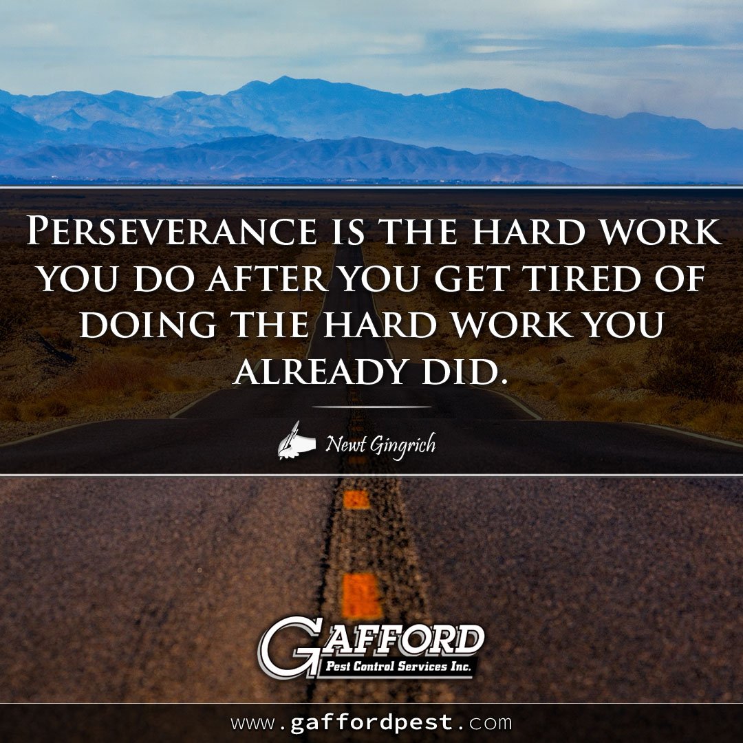 GaffordPest's tweet photo. https://t.co/8mdkNCIEon