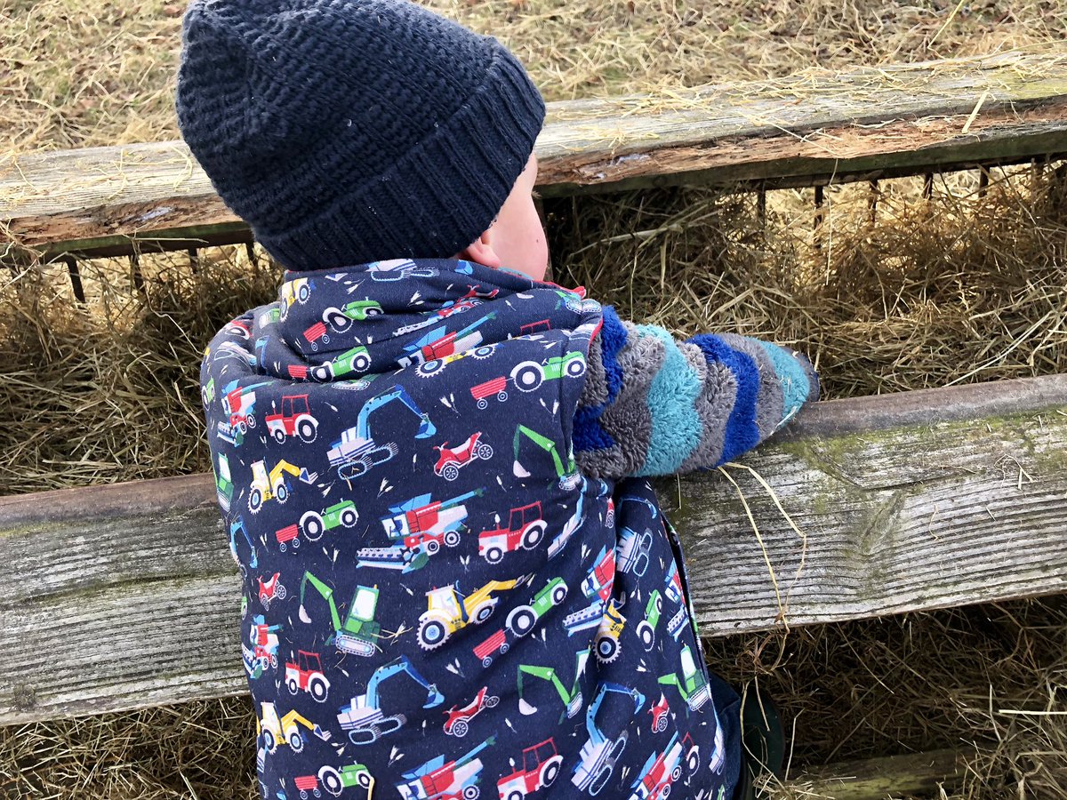 Lakes and Lambs tweet media