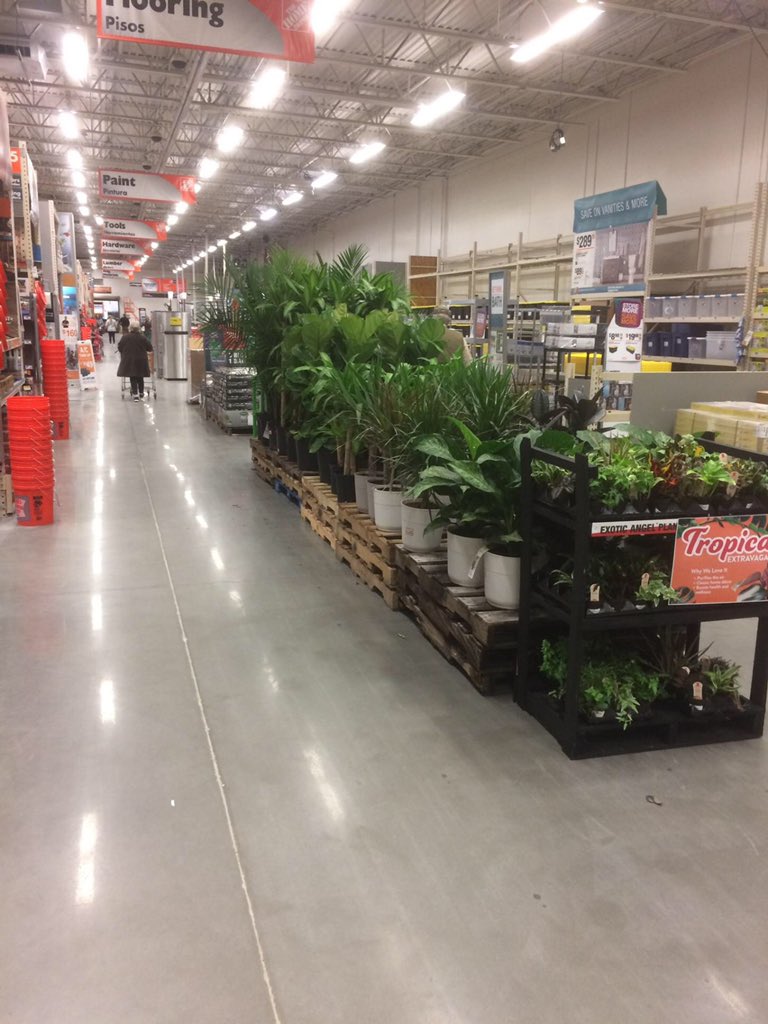 TerryHurst18's tweet photo. Expanded inside Tropical Set @ 6377 looks awesome https://t.co/2v5avxDkzk