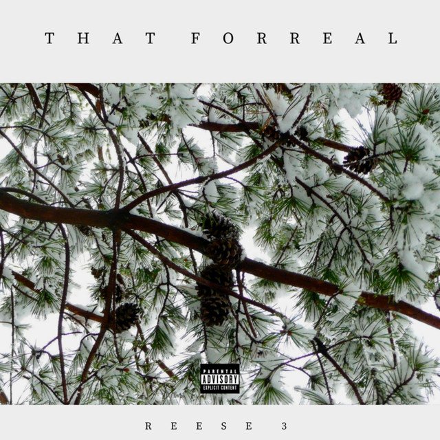 RAIRADIOLIVE's tweet image. #LISTENNOW for #THATFORREAL by @ReesePower3 on @1095THEHEAT between 9PM-11PM-est. Stream live @ radiopushers.tv/power1095heatd… @mpgvip @Ftriff @JThuroMusic @mreckgm @pyravids @JibbaTheGent @radiopusherstv @DntMindMe__ @JoeyCapoMusic @Kingjamesworthy #betonyourself #radiopushers