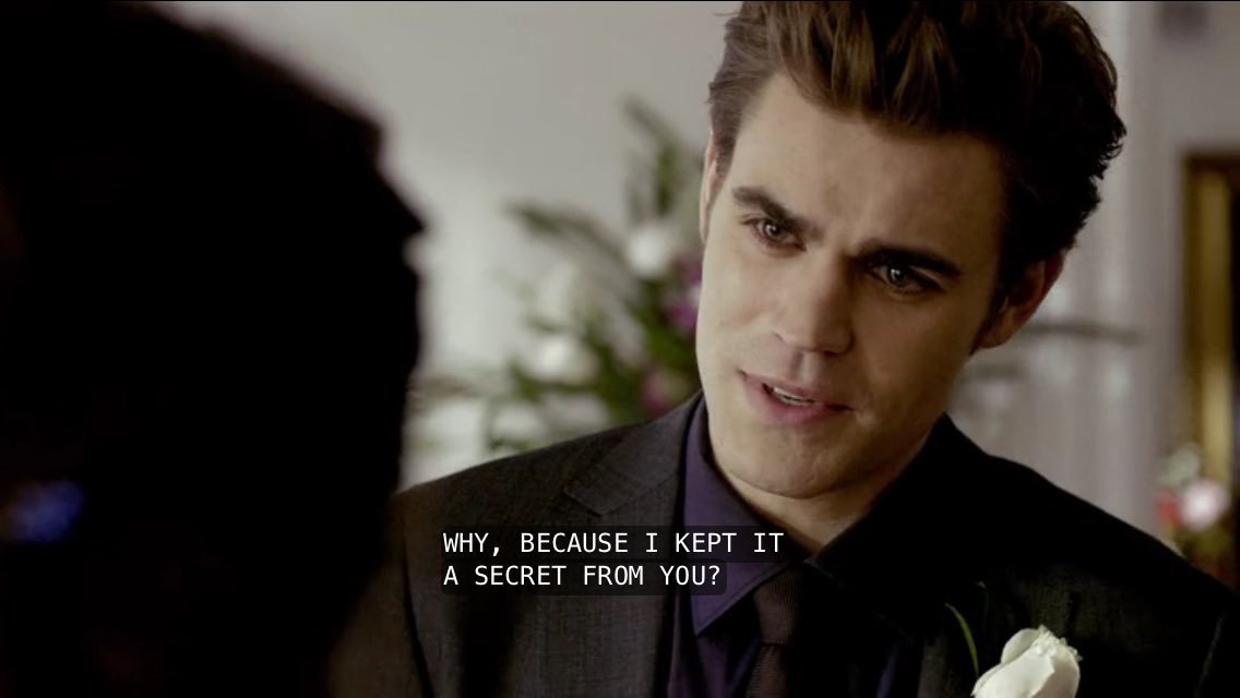 stefan even went as far as to blame elena for why he was lying to her like wtf