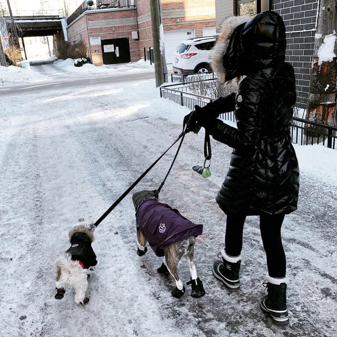 #Chiberia #PolarVortex 🥶🥶🥶