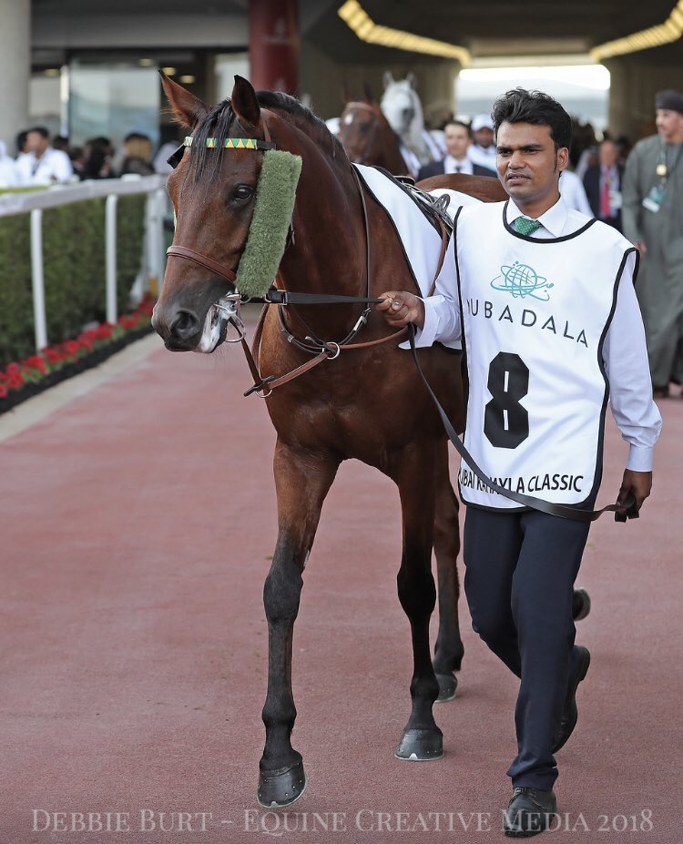 ArabianRH's tweet photo. #round2 #AlMaktoumChallenge #group1pa @MeydanRacing 18.30pm #localtime @afac_contact @ArabFinishLine @TheAJClub @larawathbastud https://t.co/FYk22mGHyV