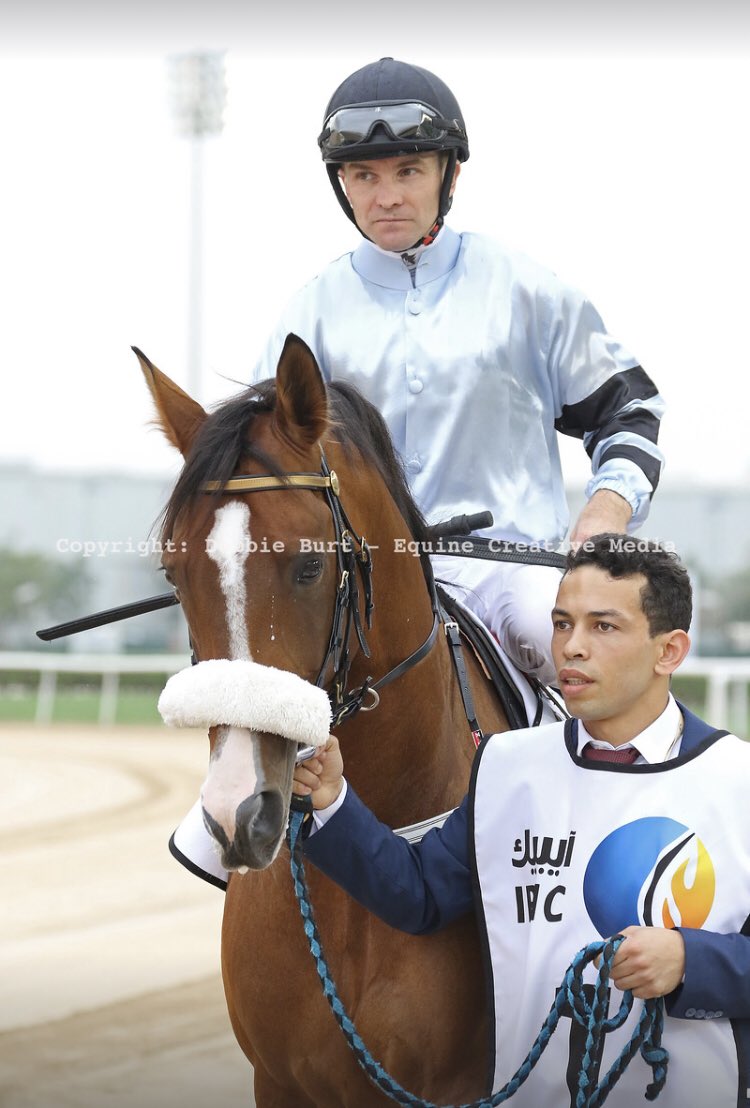 ArabianRH's tweet photo. #round2 #AlMaktoumChallenge #group1pa @MeydanRacing 18.30pm #localtime @afac_contact @ArabFinishLine @TheAJClub @larawathbastud https://t.co/FYk22mGHyV