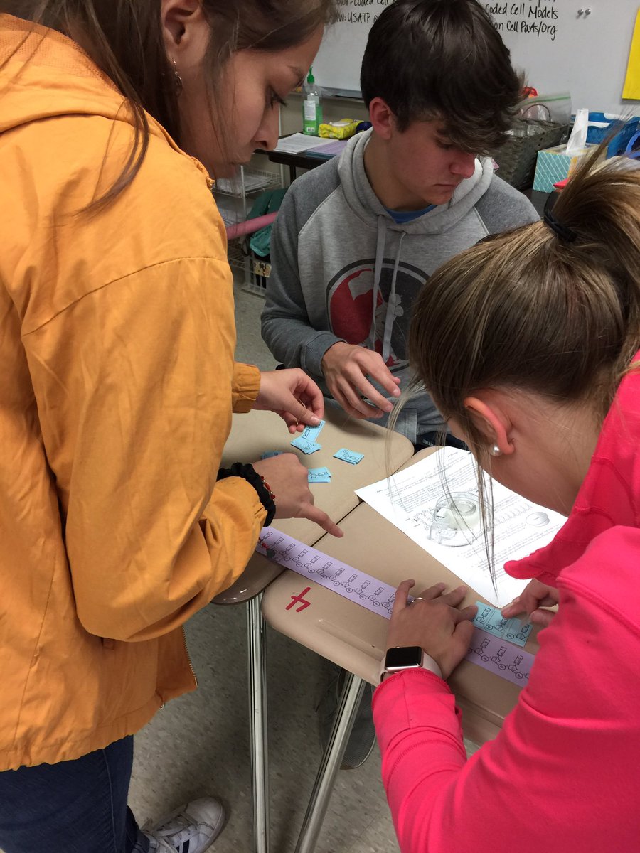 msjustusDWD's tweet photo. Modeling protein synthesis in Honors Biology. @DWDanielHigh #DWDScience #modeling #inquiry #proteinsynthesis https://t.co/PIVRWrhqQ1